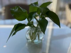 -慈铭体检(洋桥分院)