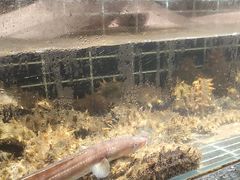 -浩运海鲜·16年专注青岛菜(石老人店)