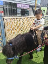 -萌宠亲子动物乐园(槐房万达店)