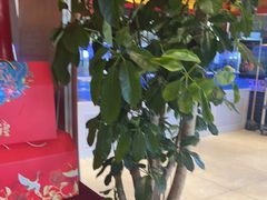 -津武刁馋一锅出(双街店)