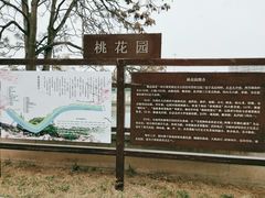 -桃花堤公园