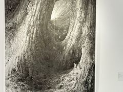 -时代美术馆-成都馆