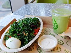 -油梨树AVOCADO TREE(望京店)