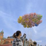 一天刷遍上海迪士尼度假区项目