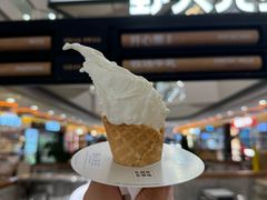 -野人先生Gelato(上海长宁龙之梦店)