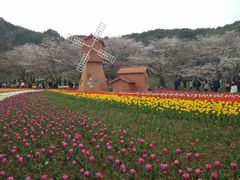 -苏州上方山国家森林公园