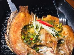 -雀舞云南菜(天津天河城购物中心店)