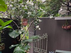 -绿房子方寸咖啡(星海名城店)