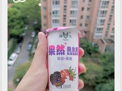 桑葚草莓-扬大康源乳业鲜奶吧(大学北路店)
