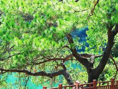 -佛山市三水区大南山森林公园
