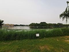 -WhaleSports户外水上运动俱乐部(朝阳公园店)