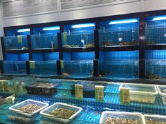 水产区-和记小菜(七宝店)