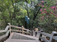 -广州市白云山风景名胜区