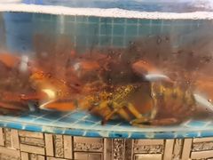 -蓝珊甄选海鲜自助·火锅大排档(近阿那亚店)