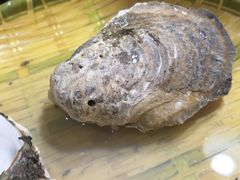 -蠔爺王志德生蚝馆(金沙湾店)