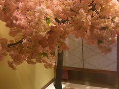 -汤泉良子(金源店)
