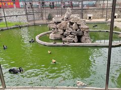 -保定市动物园