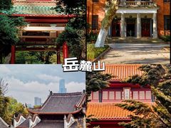 -橘子洲景区