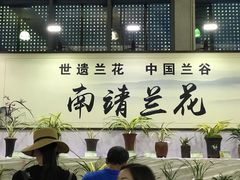 -东南花都花博园