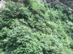 -圣莲山风景区