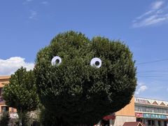-特克斯八卦城
