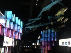 -同济大学四平路校区深海探索馆