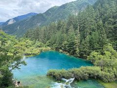 -乡土特色.冷锅鱼.牦牛肉汤锅