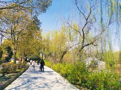 -扬州市茱萸湾风景区