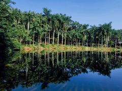 -北海金海湾红树林生态旅游区