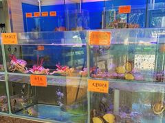 水产区-好彩海鲜火锅饭店(银河百老汇店)