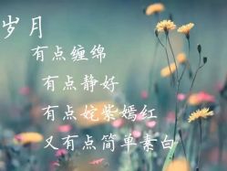 -诗碧曼养发