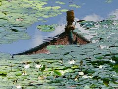 -长春市南湖公园