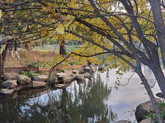 -万泉公园