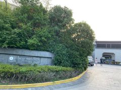 -上海崇明金茂凯悦酒店