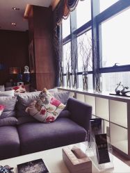 -北京米扬丽格医疗美容·联合丽格鼻整形中心