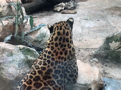 -昆明动物园