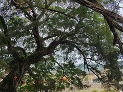 -云水谣景区