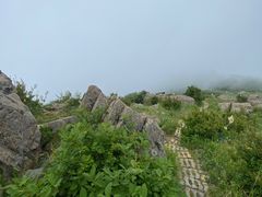 -野三坡百草畔景区