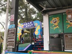 -芦仙山景区-飞越丛林探险乐园