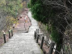 -天台山赤城山景区