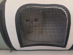 -瑞派康怡24h宠物医院·犬猫医疗中心·微创绝育(瑞景分院)