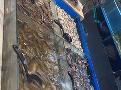 -川骄海鲜自助(亚运村店)