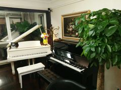 -圣典成人钢琴俱乐部(国贸旗舰校区)