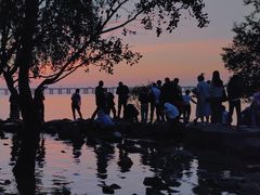 -宝安西湾红树林湿地公园