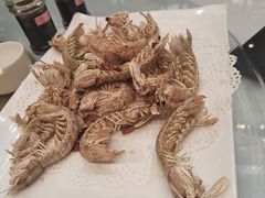 盐焗皮皮虾-舌尖上·霞浦滩涂海鲜·新闽菜(总店)