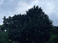-乌山风景区