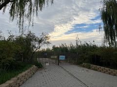-大兴滨河森林公园