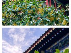 -北京颐和宾馆