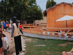 -HERRE·FARM 赫尔露营农场·团建聚会包场