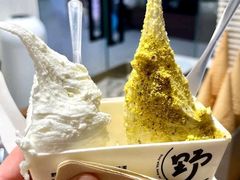 -野人先生现做冰淇淋(北京王府井东方新天地店)